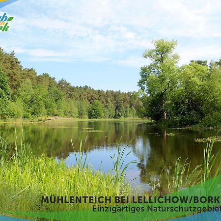 Jagd-Angler-Holzhaus-Im-Wald-Am-See Villa Kyritz Eksteriør billede