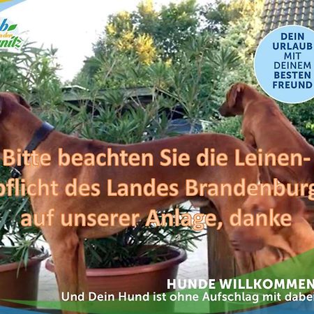 Jagd-Angler-Holzhaus-Im-Wald-Am-See Villa Kyritz Eksteriør billede