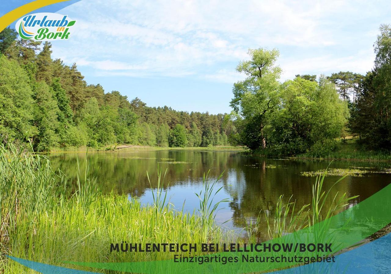 Jagd-Angler-Holzhaus-Im-Wald-Am-See Villa Kyritz Eksteriør billede